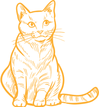 Ilustrace kočky